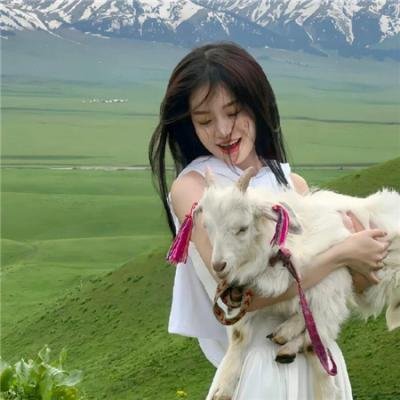铁线蕨青